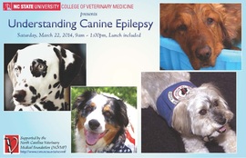 Canine Epilepsy Symposium at NCSU-CVM flier Canine Epilepsy Symposium at NCSU-CVM flier