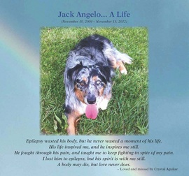 JackAngeloALife JackAngeloALife