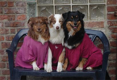 PurpleINdianas2 PurpleINdianas2