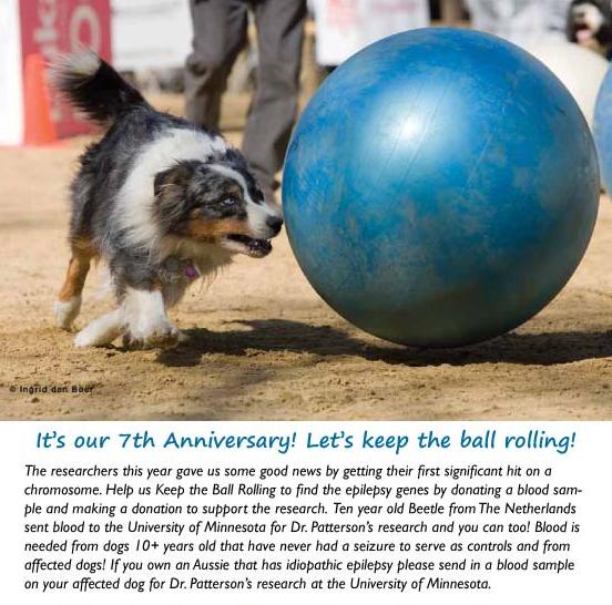 newsletter 7th anniversary 2 newsletter 7th anniversary 2